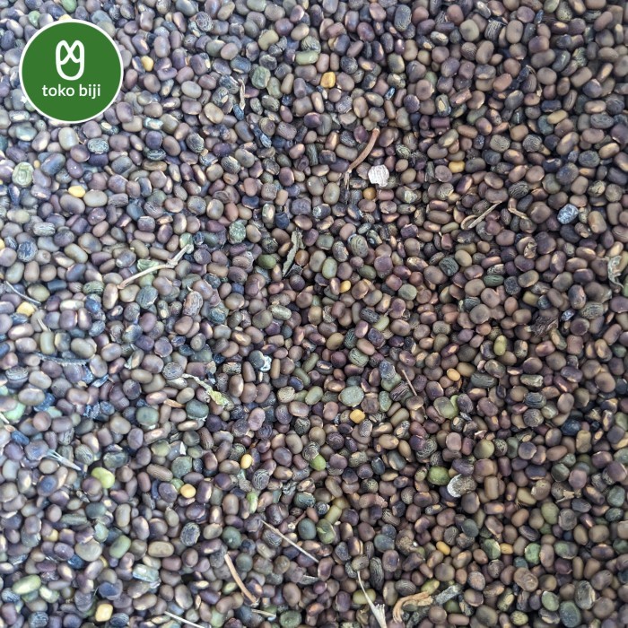 Biji Benih Cp (Centrosema Pubescens) -Gratisongkir