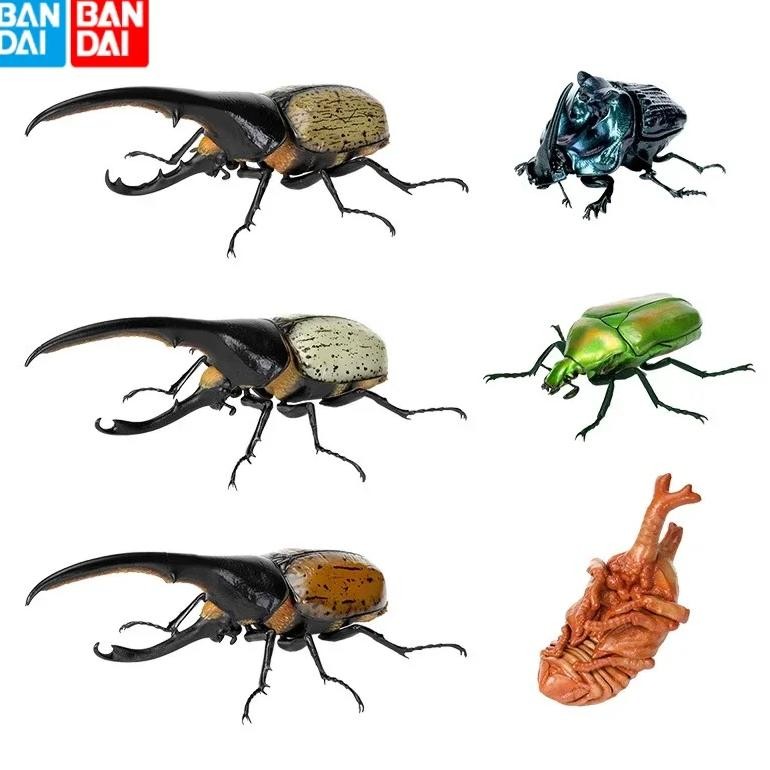 original bandai big biological map beetle dung beetle gashapon qversion movable insect action figure