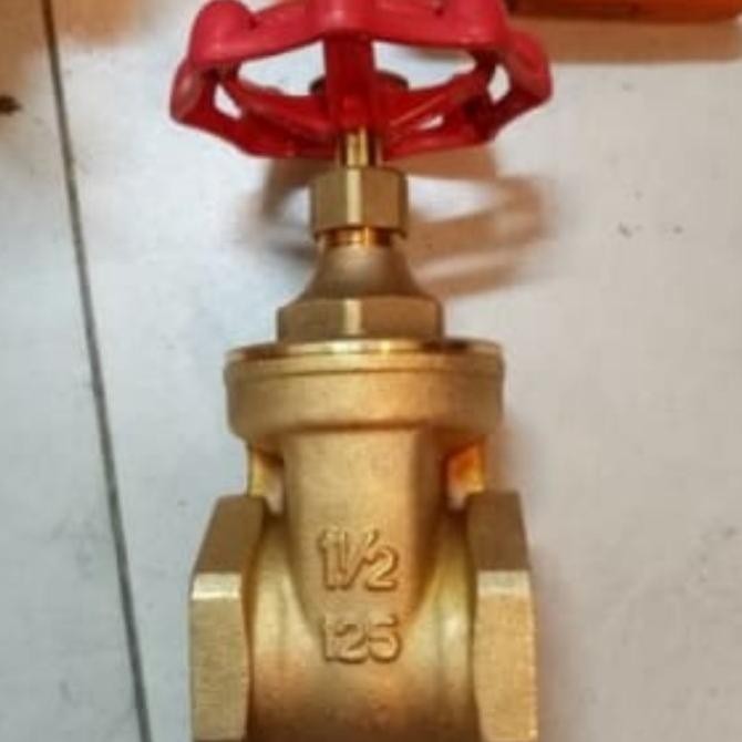 Gate Valve Kitz 11/2 Inch 1.5 Inch Original Japan  Ready