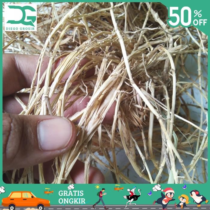

BAHAN ALAMI AKAR ALANG ALANG KERING 500GR BY DIEGO GROSIR BEST SELLER!!