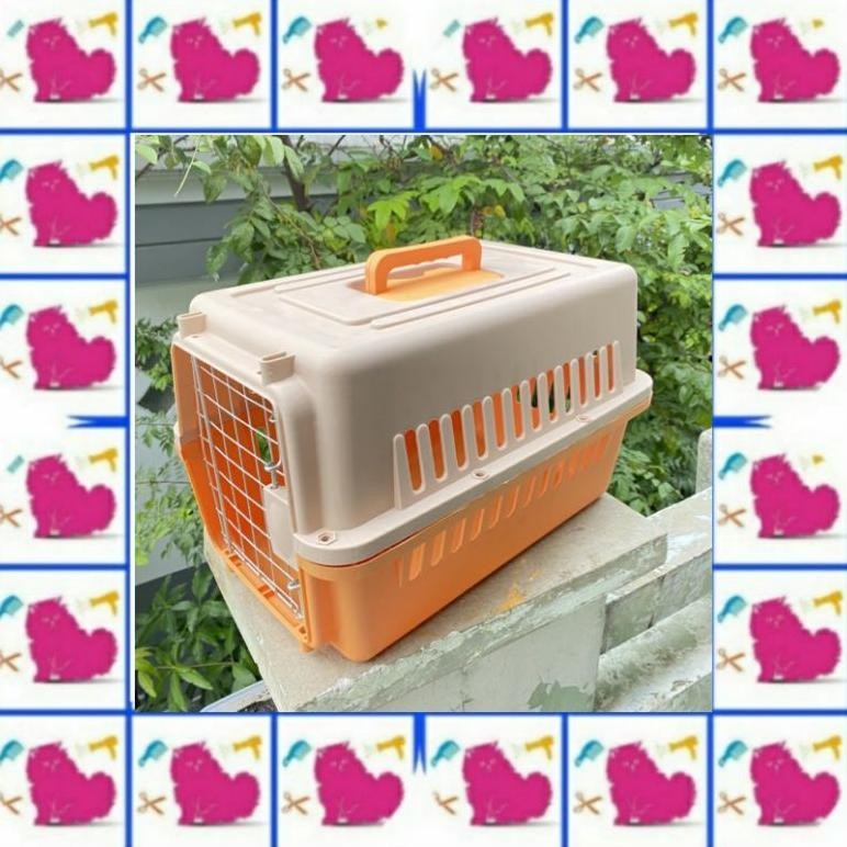 Pet cargo Kucing Kuat