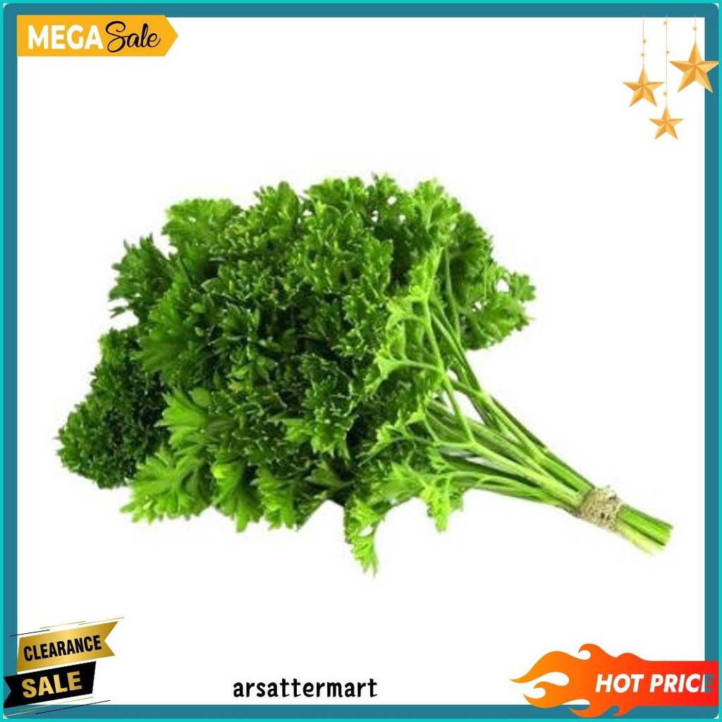 

Daun Parsley Peterseli Segar | Sayur N Co Bekasi (6.6)