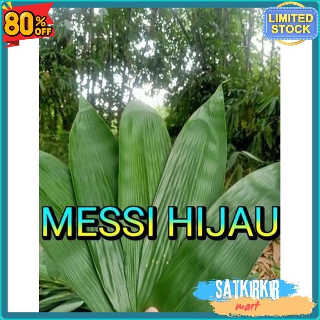 

Daun Bambu Jumbo 8-10Cm, Bungkus Bakcang 100Lembar (Cod)