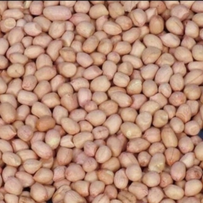 

PROMO Kacang Tanah Tuban Super 1 Kg Kulit Bersih