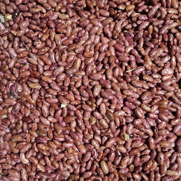 CUCI GUDANG kacang merah kering (1kg)