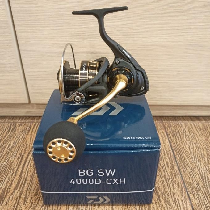 Reel Pancing Daiwa Bg Sw 2023 4000 5000 6000 8000 10000 Spinning