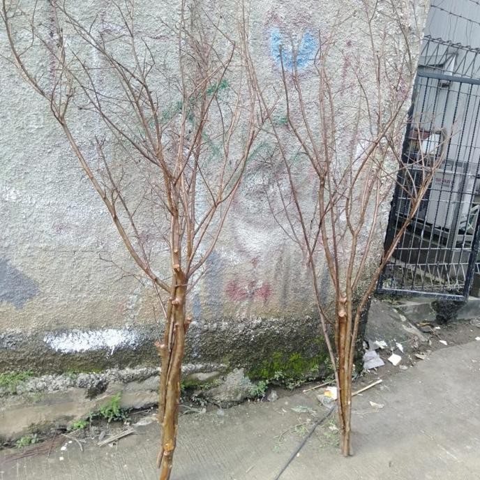 RANTING BUNGA/RANTING KAYU KHUSUS UNTUK BUNGA PLASTIK/BUNGA HIAS