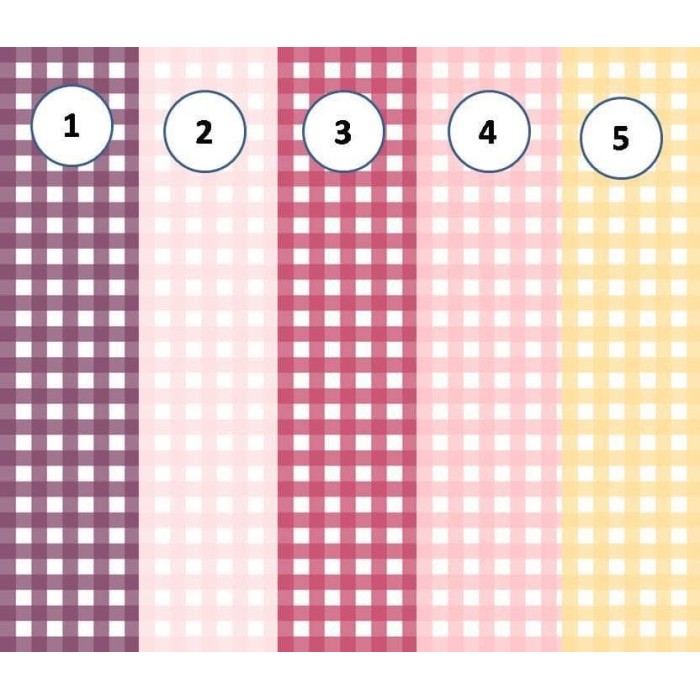 

SH698 Kertas Scrapbook - Picnic Design (1) NEW