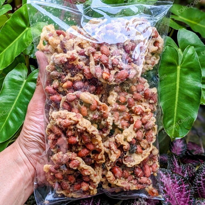 

PROMO Peyek Kacang Tanah Bulat Khas Magelang 250Gr