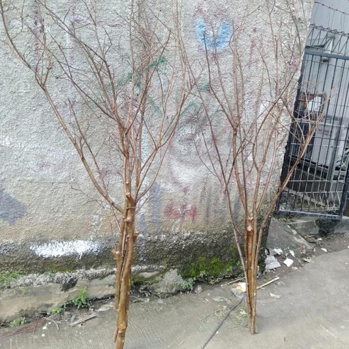 RANTING BUNGA/RANTING KAYU KHUSUS UNTUK BUNGA PLASTIK/BUNGA HIAS