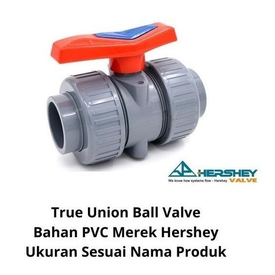 Ready True Double Union Ball Valve 2 1/2" Inch 2.5" 2,5" Polos/ Drat Hershey