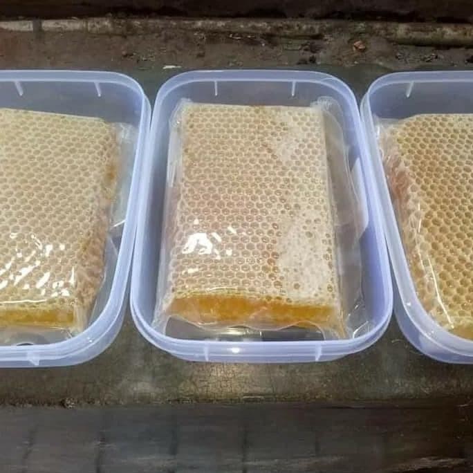 

Madu Sarang Malifera / Raw Honey / Honey comb / 500gr [terbaik]