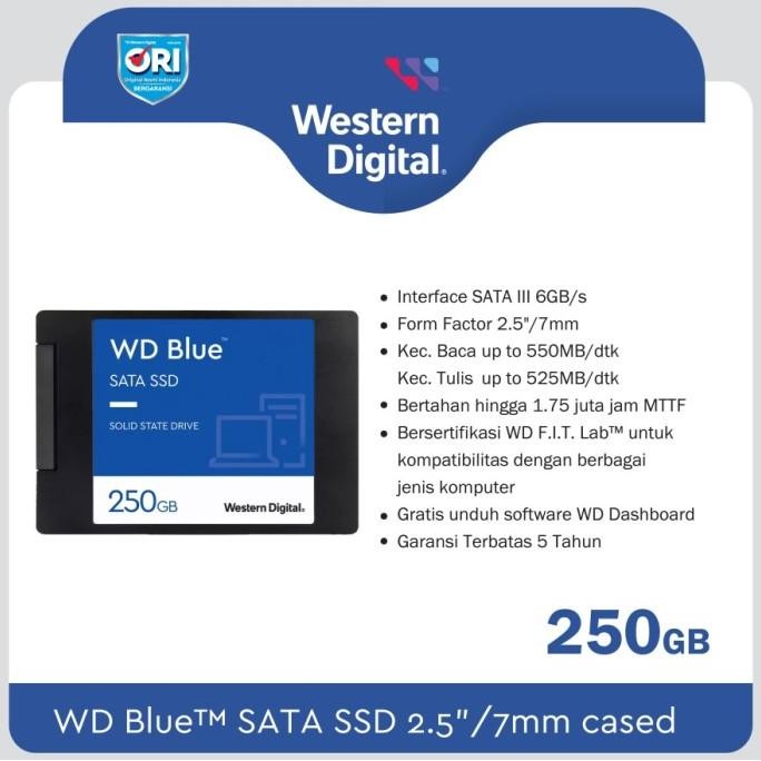 BLUE- SSD WD BLUE SA510 250GB 500GB 1TB 2TB 4TB - SSD SATA