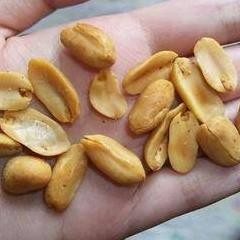 

1Kg Kacang Bawang Goreng