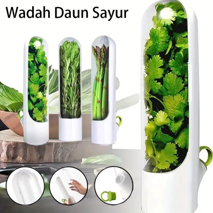 TERBARU Wadah Penyimpanan Daun Sayur Herb / Penyimpan Sayuran Kotak / Botol Sayur Kotak / Vegetable
