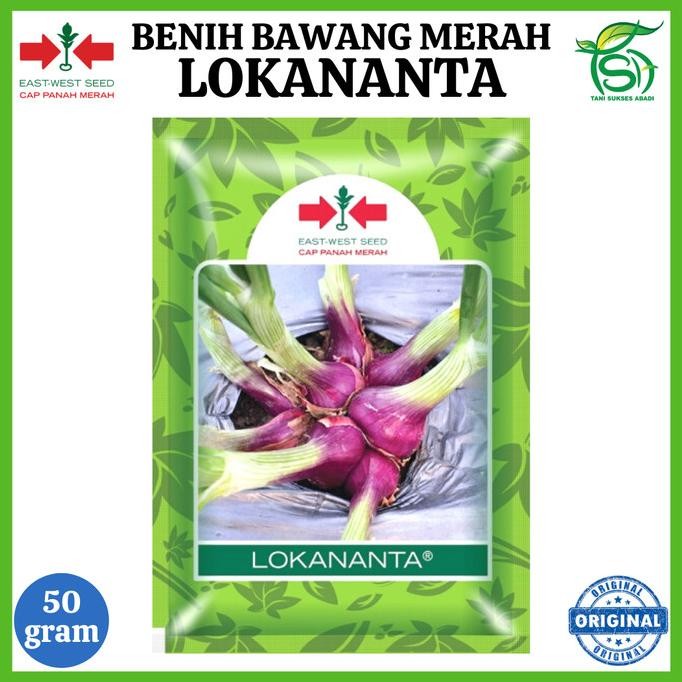 

Benih Bawang Merah LOKANANTA 50 Gram - Bibit Cap Panah Merah 50 Gr COD
