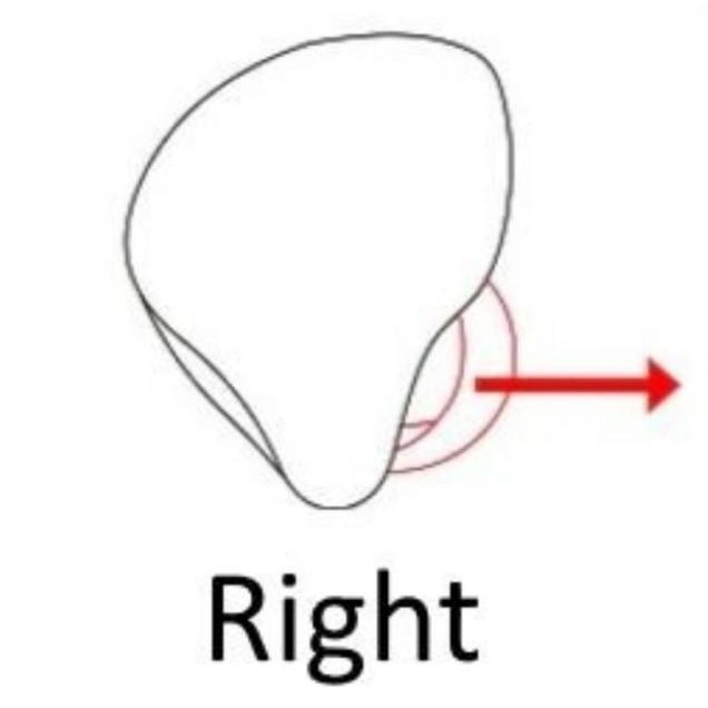 Kz Zsn Kz Zsn Pro Replacement Satuan Earphone Kiri Dan Kanan