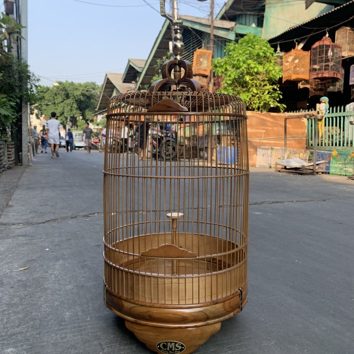 SANGKAR KANDANG BRANJANGAN CMS JATI