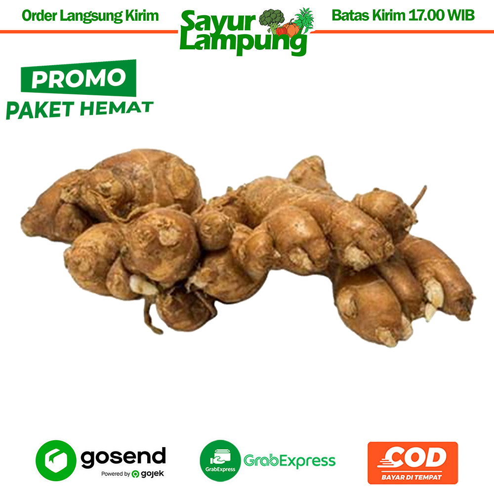 

PaHe Kencur Segar 100 Gr - Sayur Lampung
