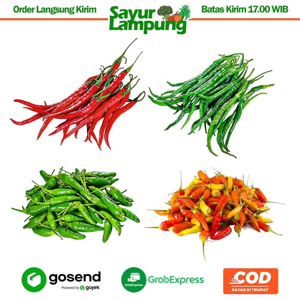 

Cabe Cabai Campur 1 Kg - Sayur Lampung