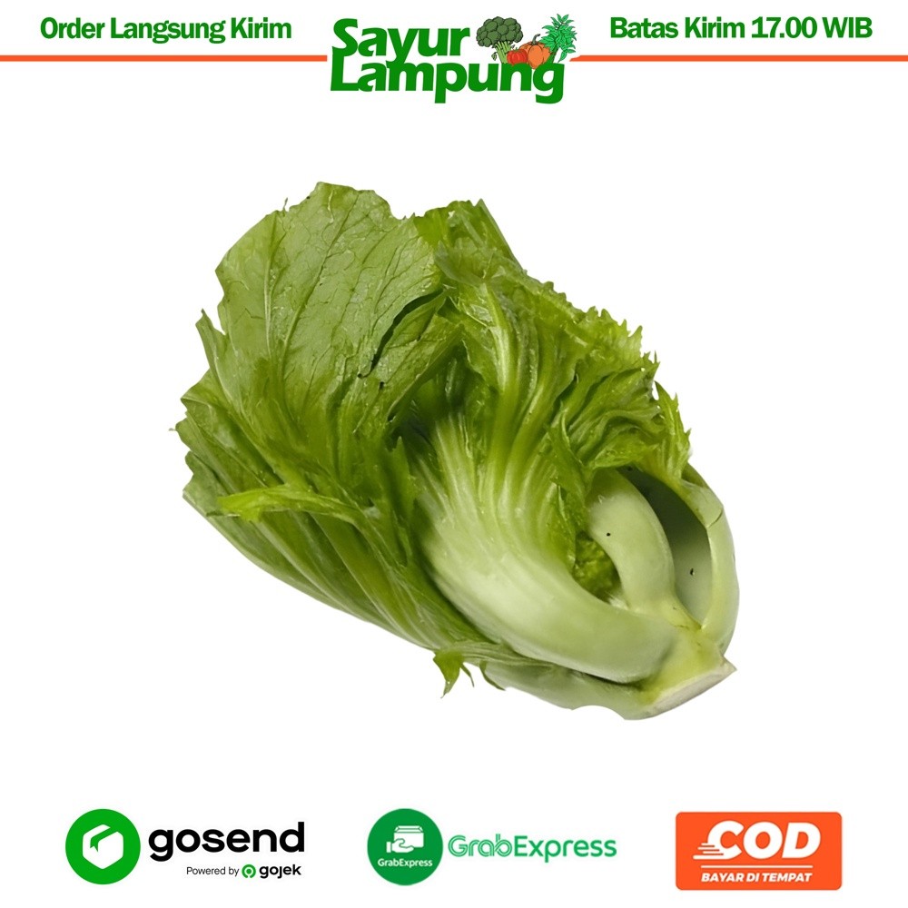 

Sawi Pahit 250 Gr - Sayur Lampung