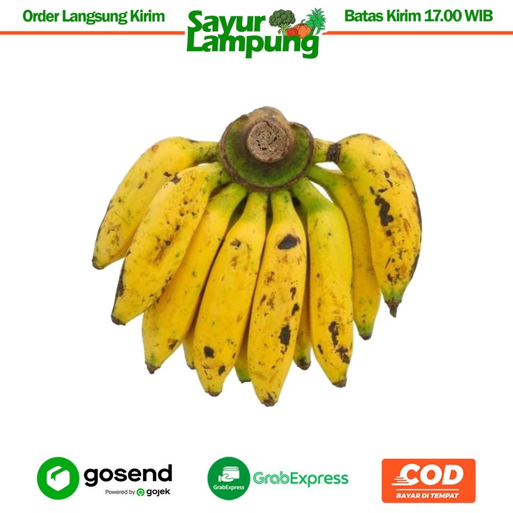 

Pisang Janten 1 Sisir - Sayur Lampung
