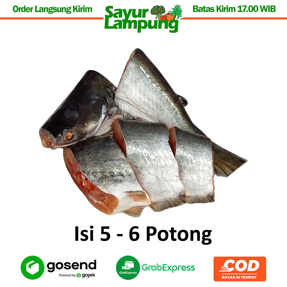 

Ikan Patin Segar 500 Gr - Sayur Lampung