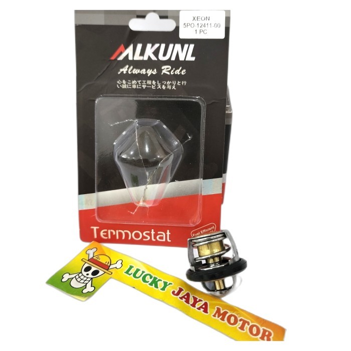 Termostat Thermostat Xeon Karbu Lama Old