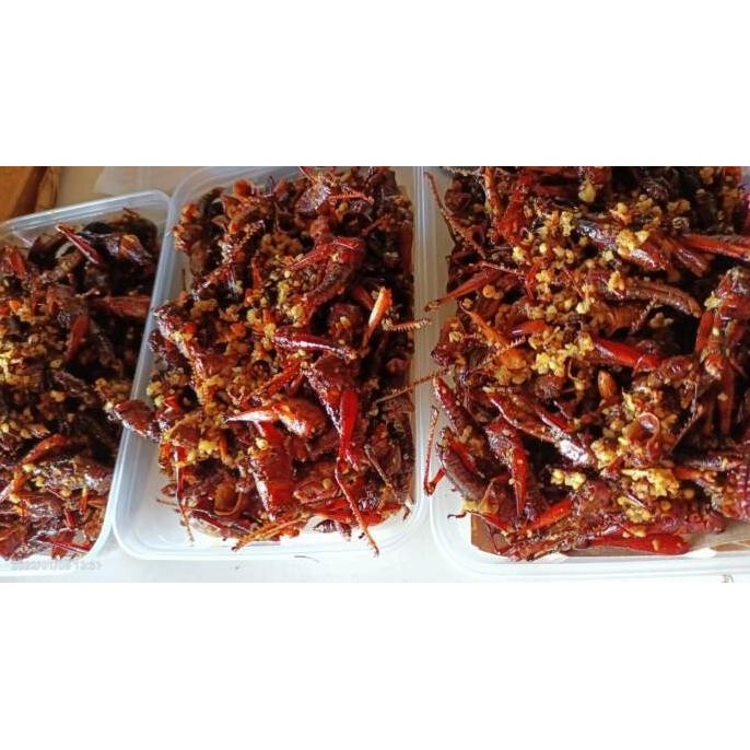 Walang goreng Belalang Goreng Khas Blora  -Pedas  Gurih IS81