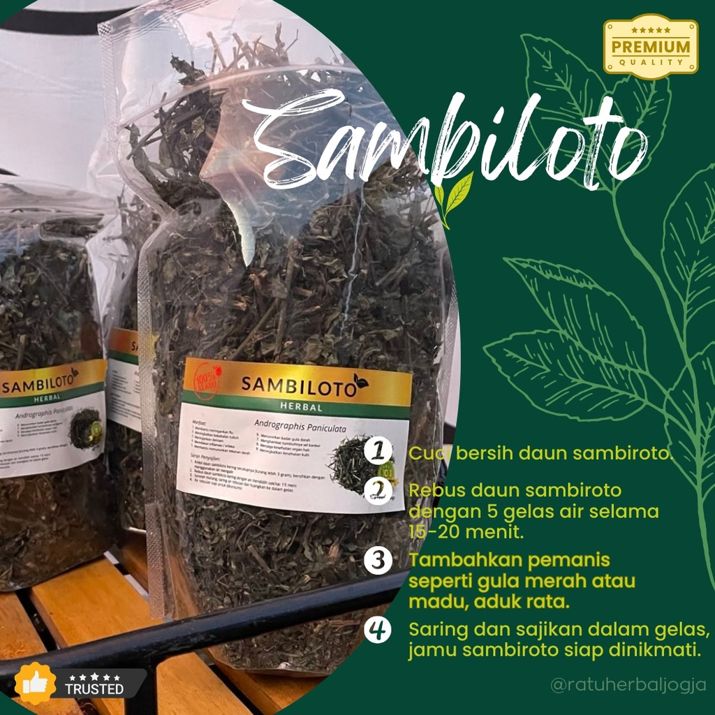 

Promo Premium Herbal Jamu Sambiloto Sambiroto [200gram] Bersih 2 Terlaris Bisa COD