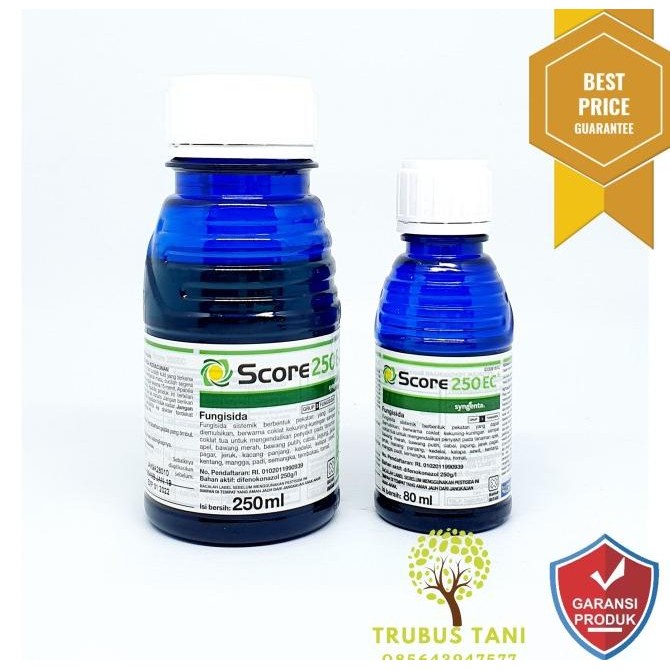 Fungisida + ZPT Score 250EC 250 ml