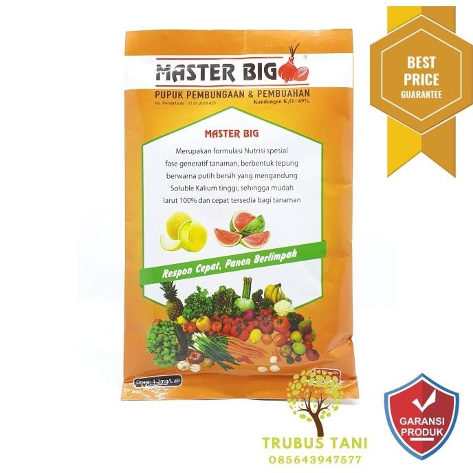 Pupuk Pembungaan dan Pembuahan MASTER BIG 250 Gram