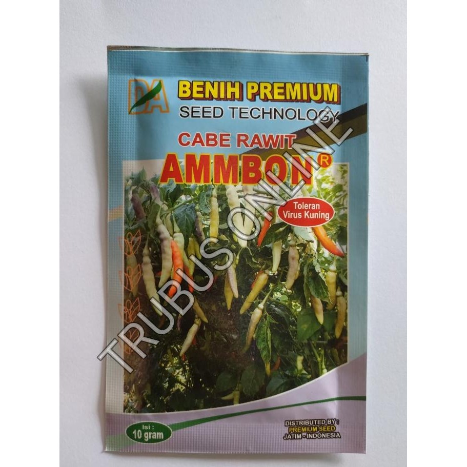 BENIH PREMIUM Cabe rawit putih AMBON 10gr TOLERAN VIRUS KUNING