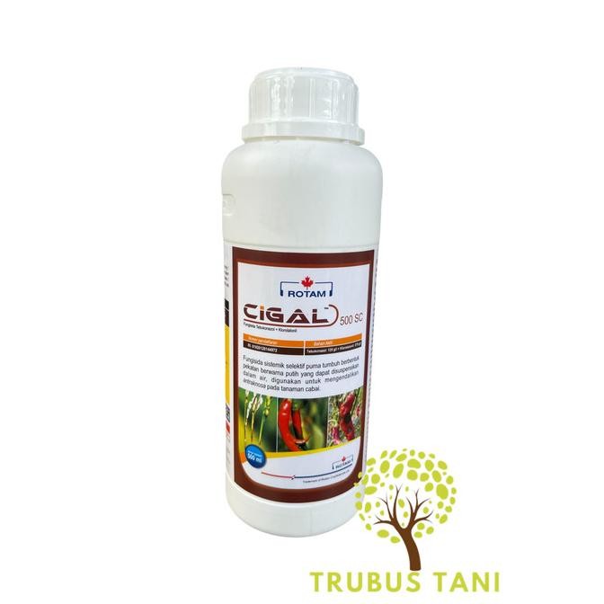 FUNGISIDA TEBUKONAZOL CIGAL 500 SC - 500ml