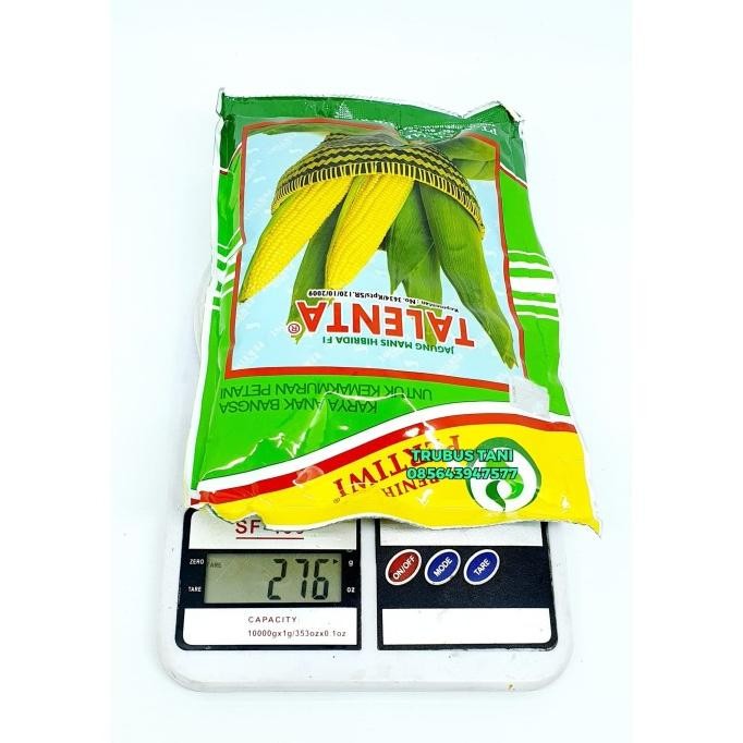 ( 1.750 BENIH ) Jagung Manis Talenta