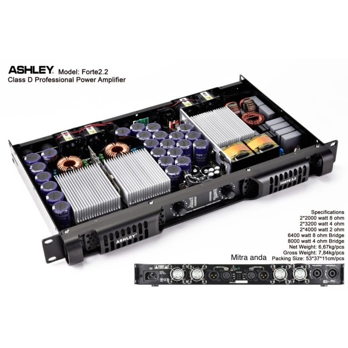 Power ashley forte2.2 class D