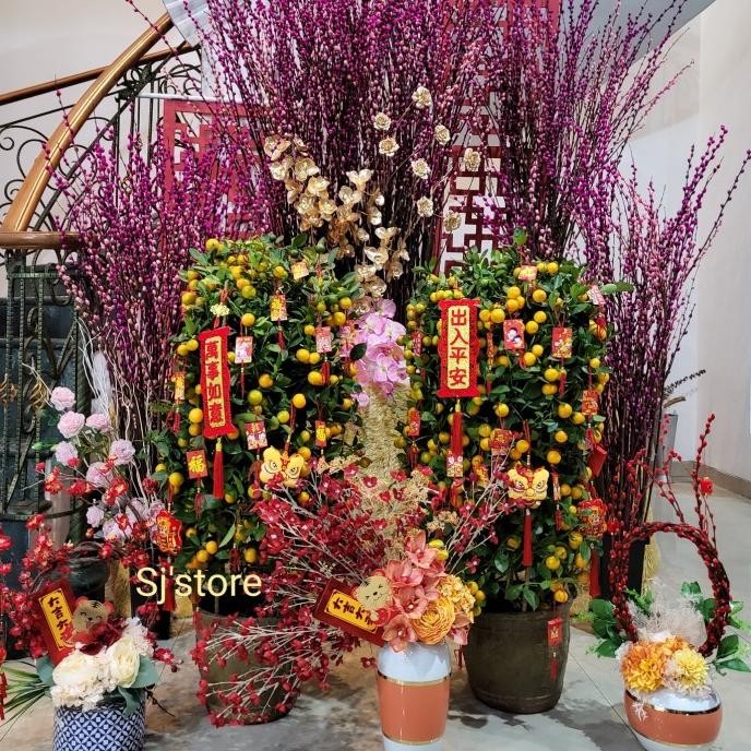 

READY STOCK POHON JERUK IMLEK HOKI CHINESE NEW YEAR CNY !!!!!