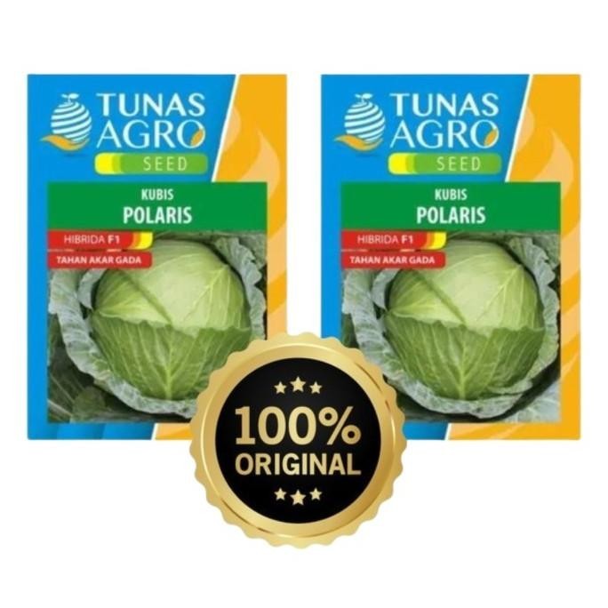 Polaris 100 Gr Benih Kubis Hibrida Bibit Sayuran Kubis Tahan Akar Gada (Takada)