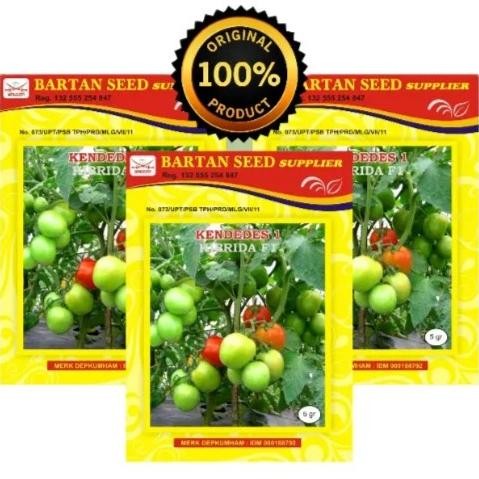 Kendedes Dt 5 Gr Benih Tomat Kendedes - Ken Dedes Tomat - 5Gram Produk