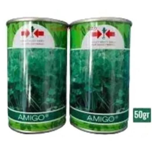 Benih Seledri Amigo 50Gr Kemasan Kaleng Produk Original Pabrik