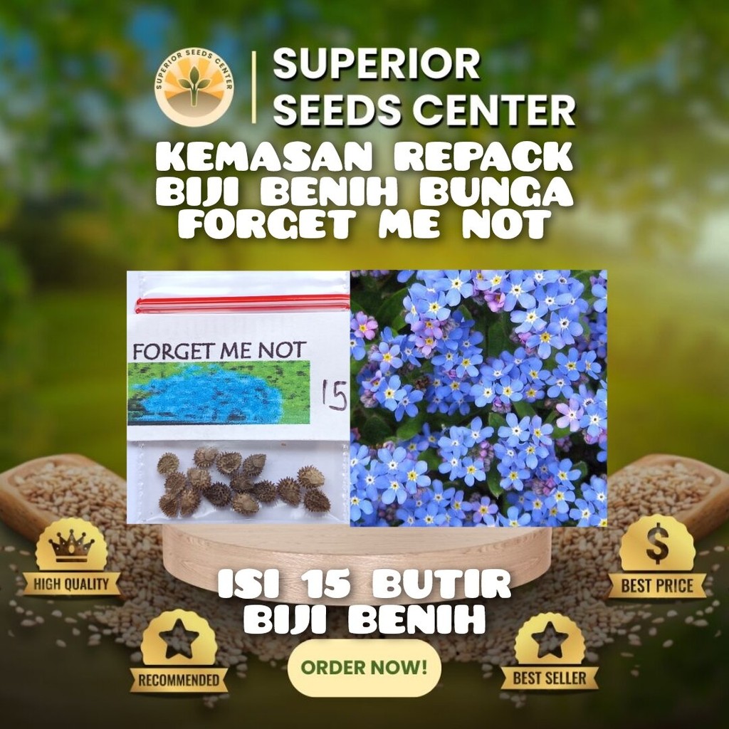 15 Butir Biji Benih Bunga Forget Me Not (Kemasan Repack Plastik Klip)