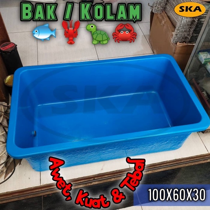 Bak Kolam ikan + Bak kura kura + Khusus Cargo