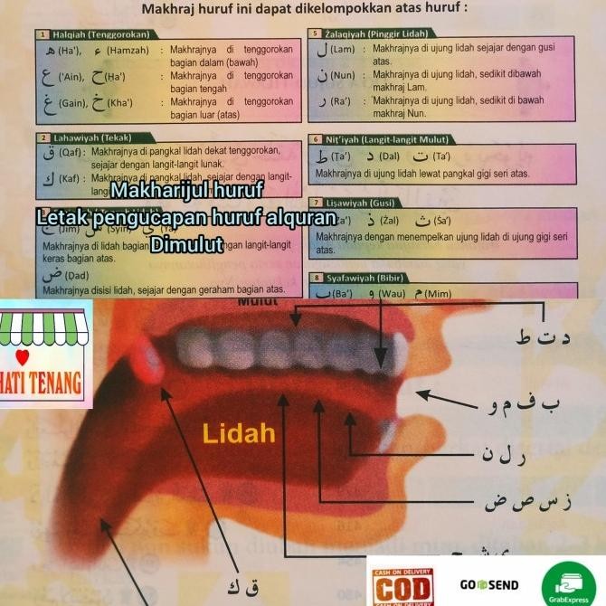 ALQURAN BESAR A3 LANSIA JUMBO TAJWID WARNA TERJEMAH LATIN PERKATA