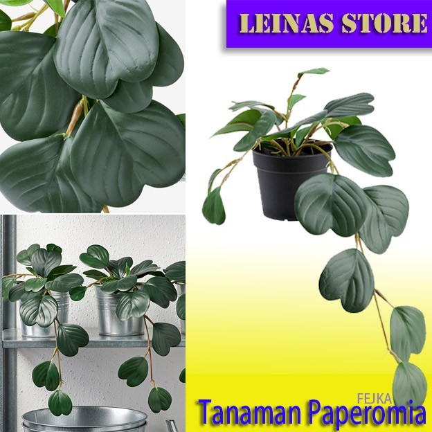 Tanaman Artificial Hias Gantung Paperomia / Tanaman Love Artificial Termurah