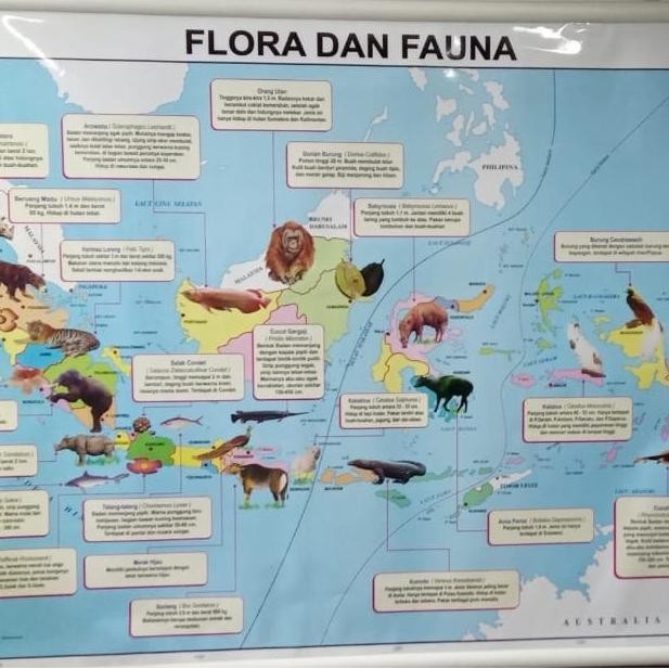 

Peta Flora dan Fauna di Indonesia