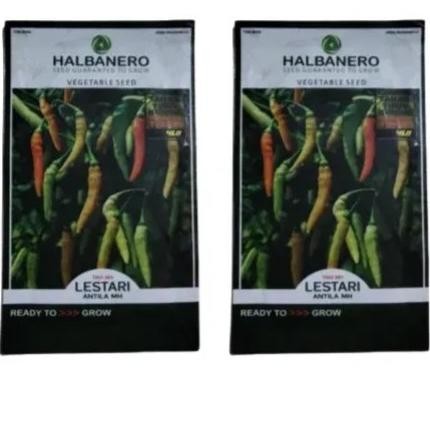 Lestari Cabe 10 Gr Benih Cabe Lestari Halbanero 10 Gram Produk