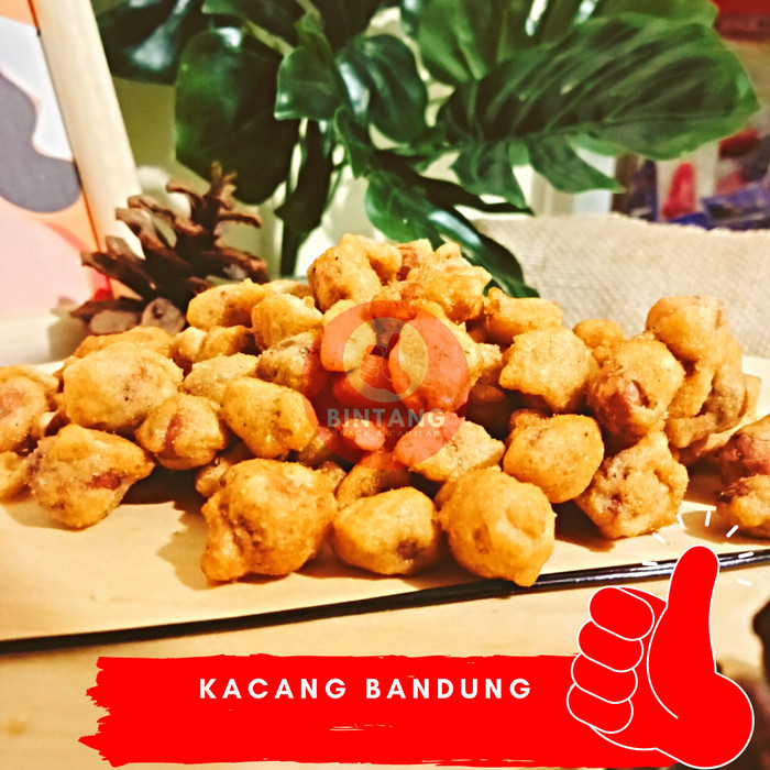 

BISA GROSIR kacang bandung 1 kg