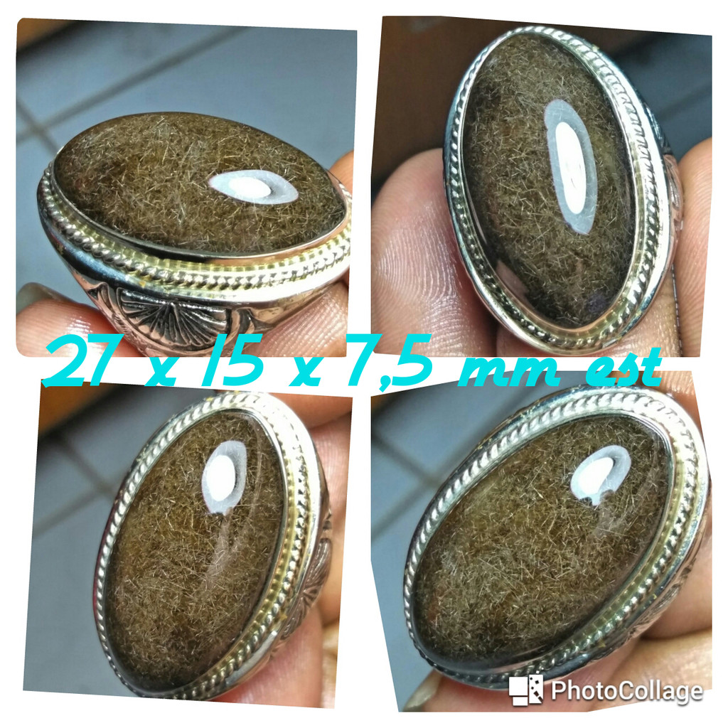 Bulu Macan Lumajang Asli Big Size Goyang Matrix 3D Jenis Bulu Duri Bayam Emas Super