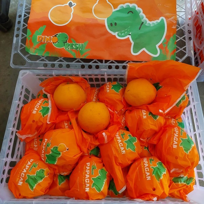 

Buah Jeruk dekopon Papangan Enak fresh/Jeruk Import/Kado