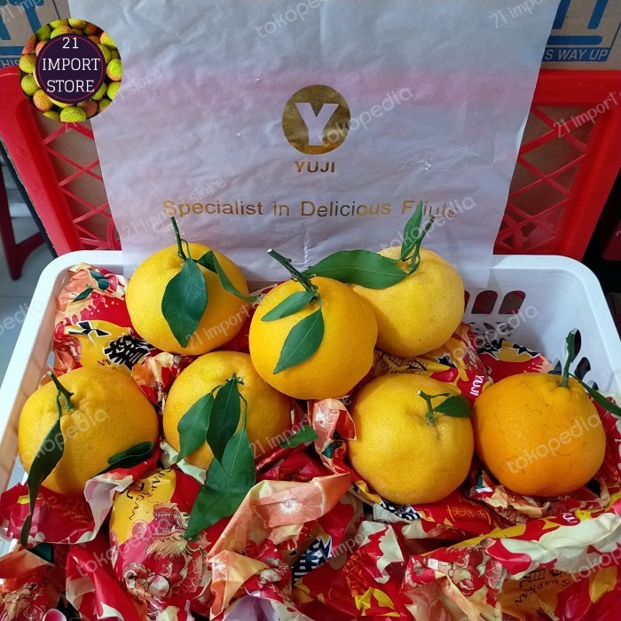 

Jeruk Dekopon Keranjang Super Jeruk Spring Super 6,5 kg 1 box